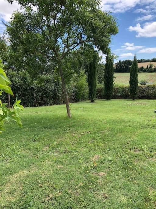 Suite Independante Au Coeur D'Un Jardin Arbore. Montaut  Exteriér fotografie
